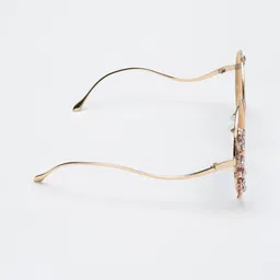 PELLE LUXUR Unisex Brown Lens & Gold-Toned UV Protected Round Embellished Sunglasses image 3