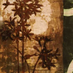 Monte Carlo Brown & Green Floral Printed Heavy Winter 1000 GSM Single Bed Blanket image 4