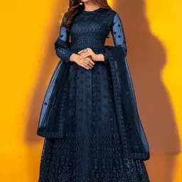 bhurkhiya Embroidered Net Semi Stitched Anarkali Gown-picture-24