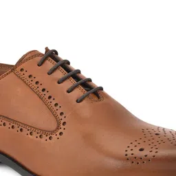 House of Pataudi Men Genuine Leather Perforated Formal Brogues image 5