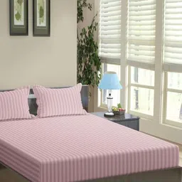 Trance Home Linen Rose Striped Pure Cotton 200 TC Queen Bedsheet Set-2.64 m x 2.18 m-image-93