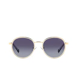 Polaroid Unisex Grey Lens & Gold-Toned Other Sunglasses with UV Protected Lens image 4