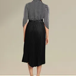 Raiyani Fashion Striped Applique Georgette Fit & Flare Midi Dress image 3