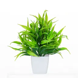 Dekorly Unisex Green Plastic Artificial Flowers & Plants With Pot image 3