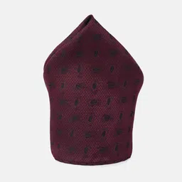 Peter England Men Embroidered Pocket Square, Tie, And Lapel Pin Accessory Gift Set image 4