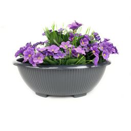 go hooked Bonsai Round Pot 13.7 Inch for Indoor & Outdoor Plants-picture-46