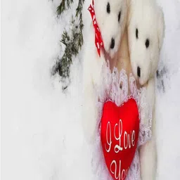 Aura White & Red Set of 2 Long Door Curtain image 2