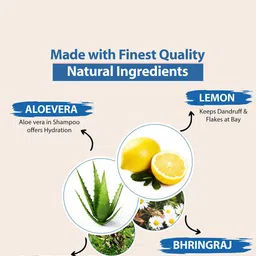 TopHill Pharma Ltd. Anti Dandruff Shampoo With Tea Tree - 200 ml image 5