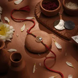 PALMONAS 925 Sterling Silver Stay Evil Free Thread Rakhi To Brother for Rakshabandhan-picture-50