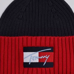 Tommy Hilfiger Boys Colourblocked Beanie image 2