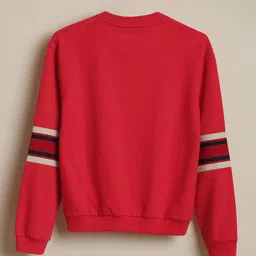 Allen Solly Junior Boys Striped Sweatshirt image 4