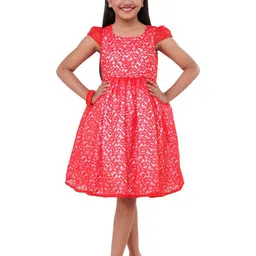 Wish little Net A-Line Dress image 1