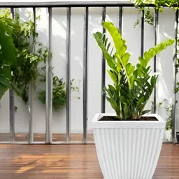 GARDEN'S NEED White Marble Design Eco-Friendly Paris Square Planter image 4