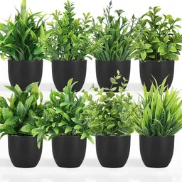 Dekorly Black Plastic Artificial Flowers & Plants With Pot-picture-36