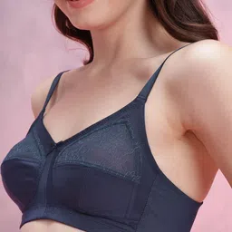 DressBerry Embroidered Cut and Sew Bra with Net Inserts DB-PAAM-35-A image 5