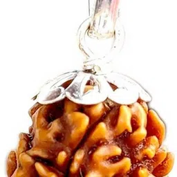 kripalu store Lab Certified Natural 3 Mukhi Rudraksha Locket 3 Face Rudraksha Pendant Beads Silver Beads Wood Pendant image 2