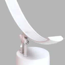 kinis Picture Light Wall Lamp With Bulb image 2