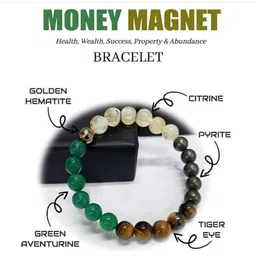 VIBESLE Unisex Multi Crystals Money Magnet Bracelet image 2
