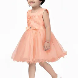 Aarika Net Fit & Flare Dress image 3