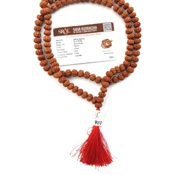 Apnisanskriti Unisex 6-Face Rudraksha Mala-picture-54