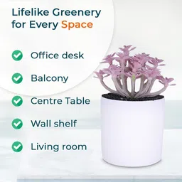 Ekhasa Lavender 1 Pieces Hanging Artificial Plant With Pot image 4