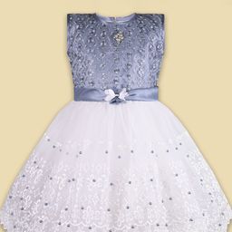 Wish Karo Embellished Embroidered Net Fit & Flare Dress-picture-17