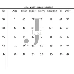 JEXI Men Ethnic Motifs Kurta image 3