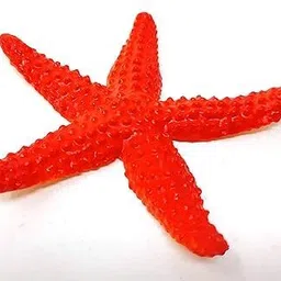 bestie toys Sea Animals Toy Animal Sea Figures Ocean Bath Toy for Kids,Realistic Set image 3