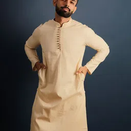 Lightpole Mandarin Collar Straight Kurta-picture-10