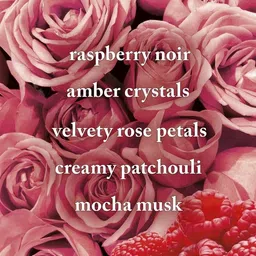 Bath and Body Works Into The Night Travel Size Fine Fragrance Mist |75 ml / 2.5 fl oz |Travel Size Fine Fragrance Mist|Woodsy Fragrance|Unisex image 2