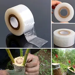 ar tapes & plastics AR 3 inch x 100meter Grafting Stretchable Tape for Nursery and Garden, Biodegradable Plant Repair Tapes Self-Grafting Clear Film for Fruit, Floral, Tree and Plants Grafting Film Tool (1) image 2