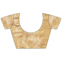 Mitera Sequinned Embellished Tissue Saree image 4