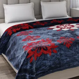 Monte Carlo Roman Blue & Red Printed Heavy Winter 263 GSM Double Bed Blanket-image-43
