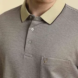 Allen Solly Men Striped Polo Collar Cotton T-shirt image 4