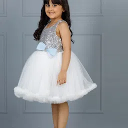 The Lush Affair Net A-Line Dress image 4