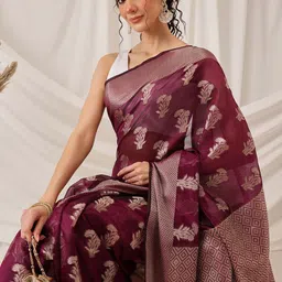 DIVASTRI Floral Zari Organza Banarasi Saree-picture-15