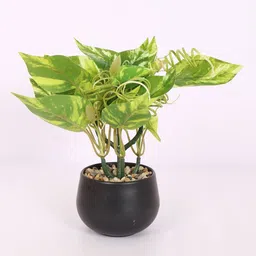 Home Bloom Green 1 Pieces Artificial Plant With Pot image 2