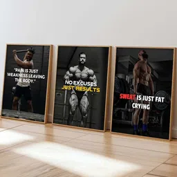 Kotart Brown & Black 3 Pieces Bodybuilding Motivational Printed Wooden Wall Arts-picture-15