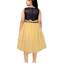 YK Net Girls Fit & Flare Dress image 5