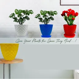 go hooked 6 Inch Kohinoor Pot for Plants with Saucer Tray image 4