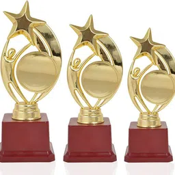 bareezé pure Trophy cup Metallic Fiber Gold award cup Trophy For Party Celebrations, Ceremony, Appreciation Gift, Sport, Academy, Awards For Teachers And Students cricket trophy /gold trophy / winner cup trophy awards/runner up trophy /first prize trophy / second prize football trophy awards football trophy /kabaddi trophy/batsmen trophy/bowler /trophy/dancing trophy /awards/corporate cup /trophy cup/cup trophy awards /marathon trophy/ Trophy Trophy-picture-25