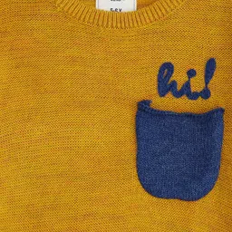 Pantaloons Junior Boys Yellow & Blue Pullover with Embroidered Detail image 3