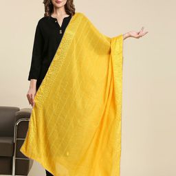 Dupatta Bazaar Striped Dupatta with Sequinned-image-7
