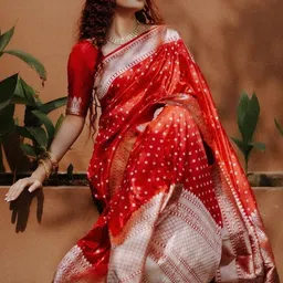 CaniBani Woven Design Zari Silk Blend Handloom Banarasi Saree-image-64