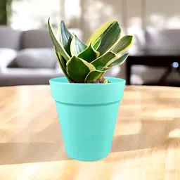 GARDEN'S NEED Excal White & Beige 5 Pieces Textured Planters image 4