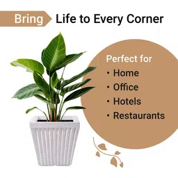 Kuber Industries Pihu Splash Brown & White 2 Pieces Textured Roto Mould Flower Planters image 4