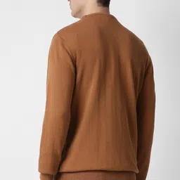 peter england Men Self Design Crew Neck Brown Sweater image 2