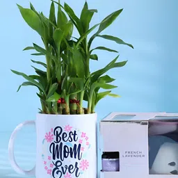 Floweraura 3Pcs White & Green Printed Ceramic Home Gift Set-picture-28