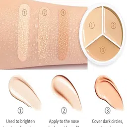 Plessis Tri-Color Waterproof & Long Lasting Concealer -Shade 101 image 3