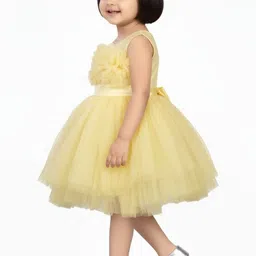 Aarika Net Dress image 4